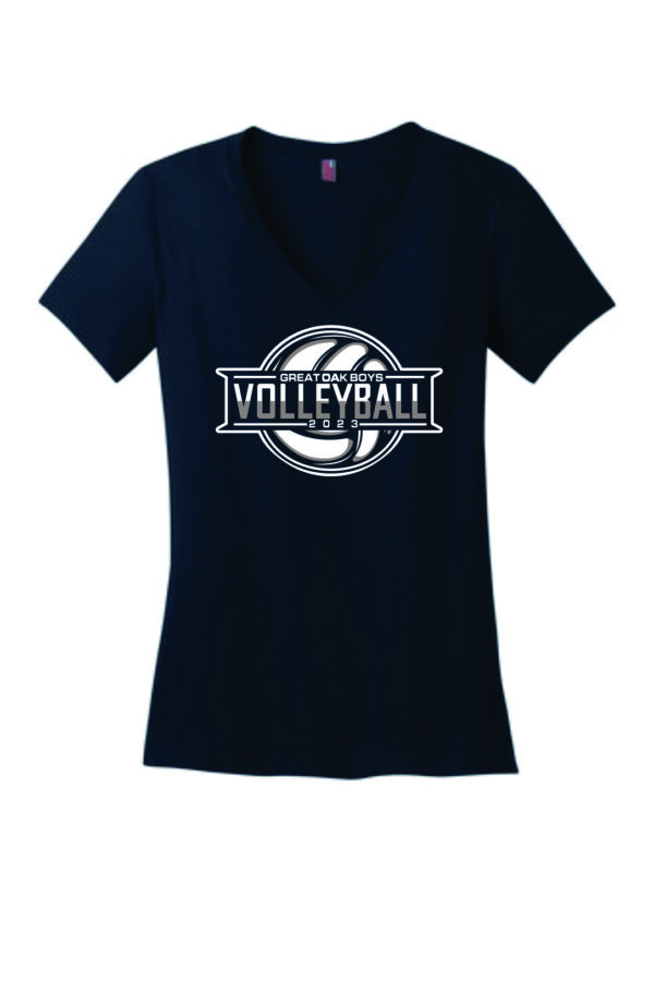 Navy V neck full logo Gray Color T shirt